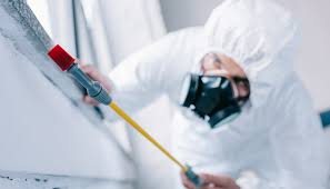 Best Pest Prevention Services  in Rayville, LA